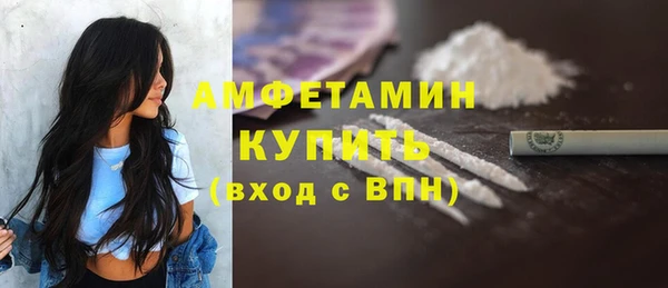 шишки Богородицк